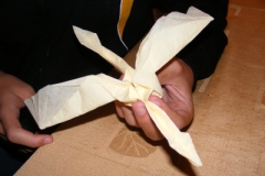 proinfo__lvle_08_20090426_1764597520