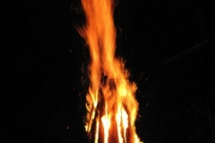 foc_de_tabara_20100911_1256684326